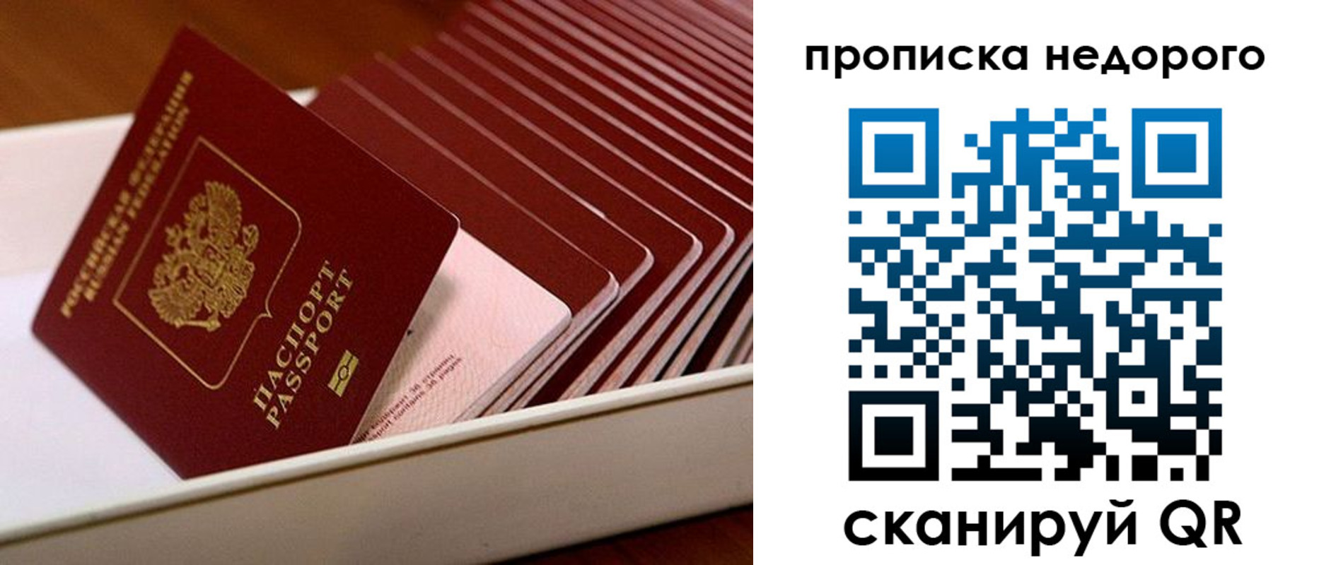 прописка паспорт в Зее